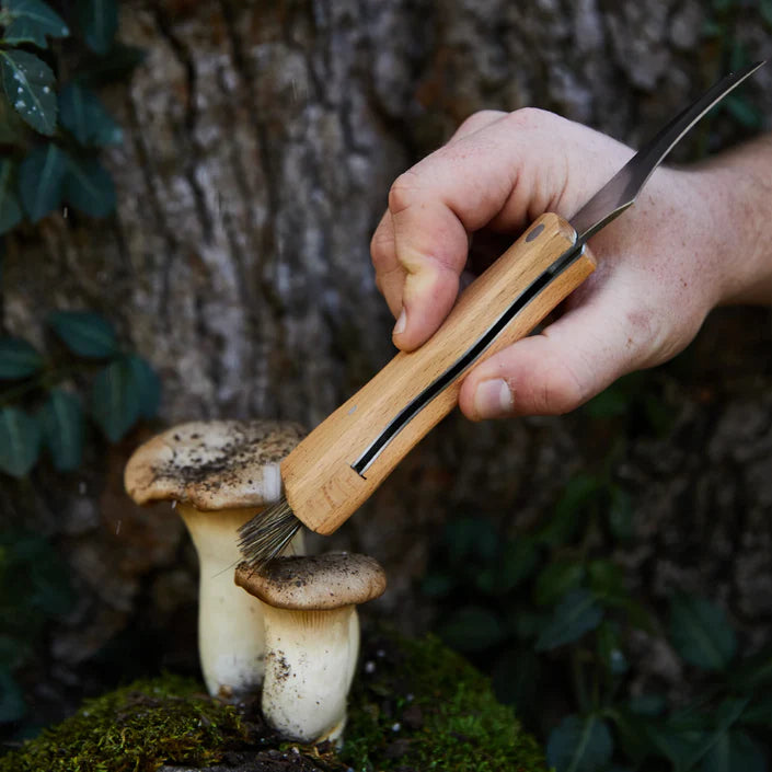 Foraging Knife